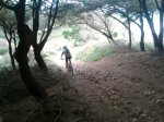 Foto4956P.jpg
