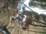 2012-08-26 12.04.39.jpg