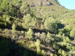 CIMG2501 (Copiar).JPG
