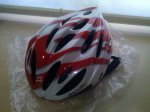 2012-09-16_10-40-06_547_600_448.jpg