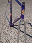 DSC07305.JPG