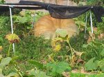 20120908_121151.jpg