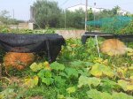 20120908_121218.jpg