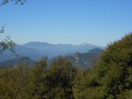 DSCN0019.jpg