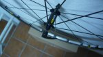 DSC00761.JPG