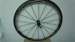 DSC00764.JPG