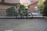 foto rr 1.jpg