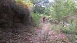 20120916125810.jpg