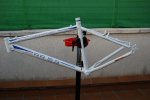 DSC_1354.JPG