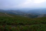 P1130902a.jpg
