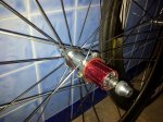 zipp 3.jpg