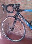 IMAG0401.jpg