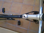 Marin small  3.jpg