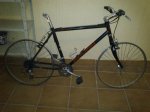 Marin small 6.jpg