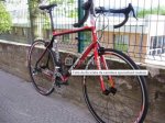 Specialized.jpg
