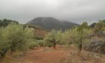 Foto0395 - copia.jpg