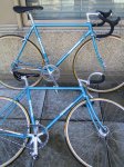 corsa-o-pista-560x746.jpg
