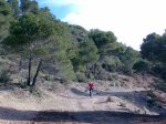 Imagen026.jpg