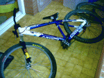 Bici4.gif