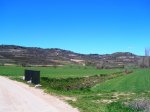 DSCN3592.JPG