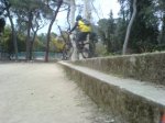 bici049b.JPG