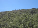 IMG_4364_1024x768.jpg