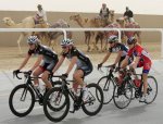 Camels-stand-beside-the-track-as-cyclists-prepare-for-the-first-stage-of-the-Tour-of-Qatar-cycli.jpg