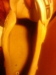 561869_105544186269335_675234636_n[1].jpg