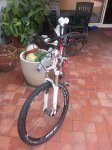 20120811_151348.jpg