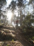 SAM_1179a.JPG