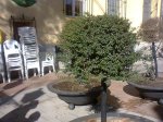 Foto0810.jpg