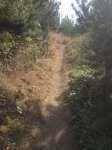 IMG_0429.JPG