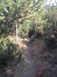IMG_0439.JPG