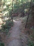 IMG_0440.JPG