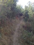 IMG_0443.JPG