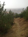 IMG_0447.JPG