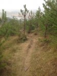 IMG_0450.JPG