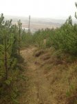 IMG_0451.JPG