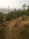 IMG_0452.JPG