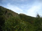IMG_2269_3.jpg