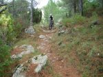 149525_full (Copiar).jpg