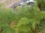 20120923_112905.jpg