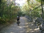 DSC07194.jpg