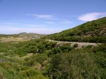 DSC07209.jpg