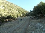 SAM_1262-m.jpg