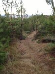 IMG_0458.JPG