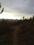 IMG_0464.JPG