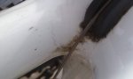 23092012567.jpg
