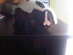 CASCO 4.jpg