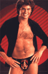 hasselhof6ew1re3.gif